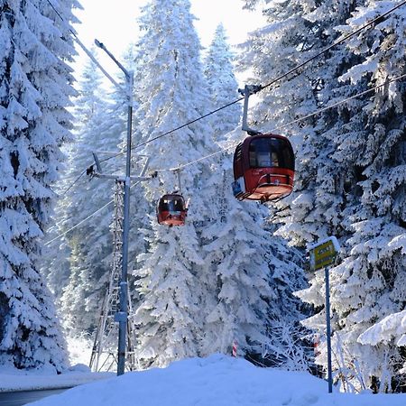 Your Place Borovets Ngoại thất bức ảnh